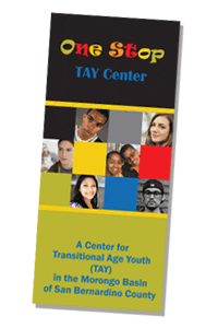 TAY One Stop Brochure